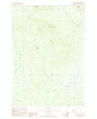 Mount Abraham 1984 topographic map preview