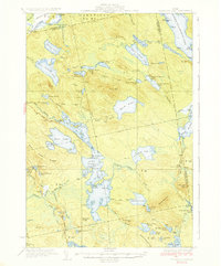 Nicatous Lake topographic map thumbnail