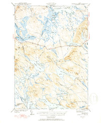 Scraggly Lake 1941 topographic map thumbnail