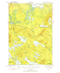 Scraggly Lake 1941 topographic map thumbnail