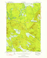 Scraggly Lake 1941 topographic map thumbnail