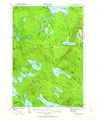 Scraggly Lake 1941 topographic map thumbnail
