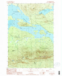The Horns 1989 topographic map thumbnail