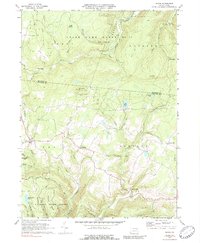 Shunk 1970 topographic map thumbnail