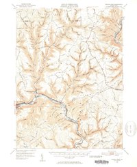 Renovo East 1946 topographic map thumbnail