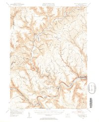 Renovo West 1946 topographic map thumbnail