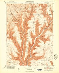 Young Womans Creek 1946 topographic map thumbnail