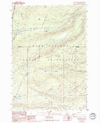 Boulder Lake 1988 topographic map thumbnail