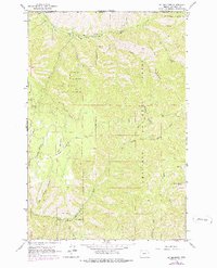 Big Meadows 1963 topographic map preview