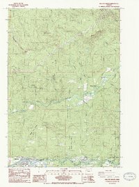 Mill City North 1985 topographic map thumbnail