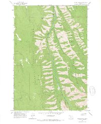 Mount Moriah 1965 topographic map preview