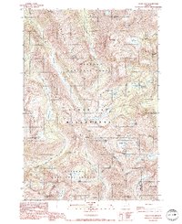 Eagle Cap 1990 topographic map preview
