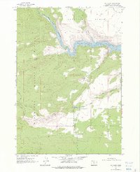 Fly Creek 1962 topographic map thumbnail