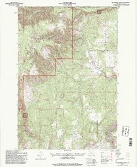 Partridge Creek 1995 topographic map thumbnail