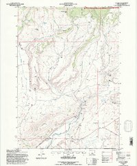 Paulina 1992 topographic map preview