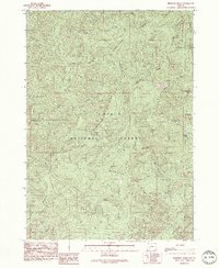 Reynolds Ridge 1989 topographic map thumbnail