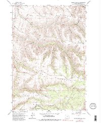 Weston Mountain 1964 topographic map thumbnail
