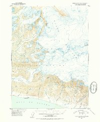 Bering Glacier A-3 1950 topographic map preview