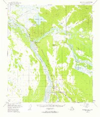 Big Delta A-4 1950 topographic map preview