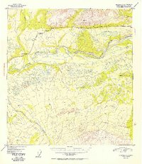 Gulkana C-1 topographic map thumbnail