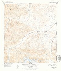 Healy D-1 1952 topographic map thumbnail