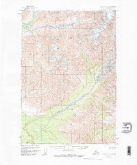McCarthy C-8 1951 topographic map thumbnail