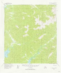 Mt. Hayes D-1 1954 topographic map thumbnail