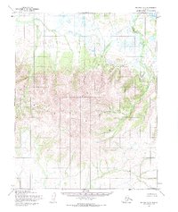 Selawik A-3 1955 topographic map thumbnail