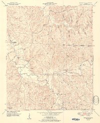 Pleasant Site 1951 topographic map thumbnail