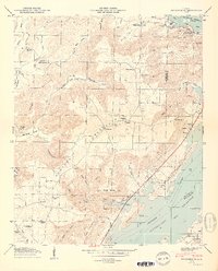 Swearengin 1950 topographic map thumbnail