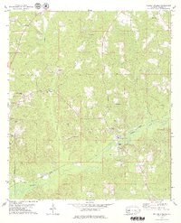 Walker Springs 1978 topographic map thumbnail