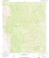 Bassett Peak 1972 topographic map thumbnail