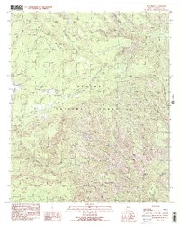 Beaverhead 1991 topographic map thumbnail