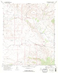 Bismarck Mesa 1969 topographic map thumbnail