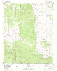 Blye Canyon SE 1980 topographic map thumbnail
