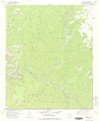Carrizo SE 1978 topographic map thumbnail