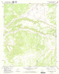 Ceadro Spring SE 1979 topographic map thumbnail