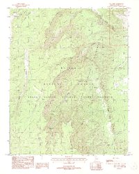 Dog Point 1988 topographic map thumbnail