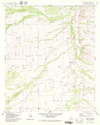Fresno Wash 1979 topographic map thumbnail