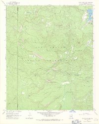 Hawley Lake West 1966 topographic map thumbnail