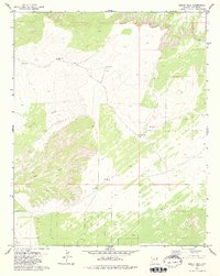 Hogan Well 1979 topographic map preview