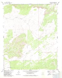 Hogan Well 1980 topographic map thumbnail