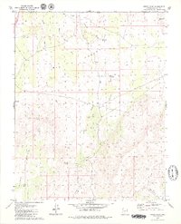Lizard Point 1979 topographic map thumbnail