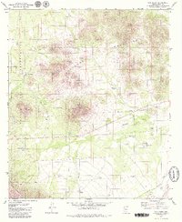 San Pedro 1979 topographic map thumbnail