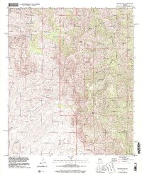 Rhodes Peak 1996 topographic map preview