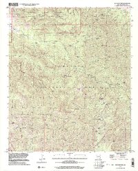 Rustler Park 1998 topographic map thumbnail
