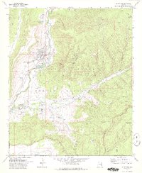 Whiteriver 1978 topographic map thumbnail