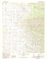 Stanford Canyon 1986 topographic map thumbnail