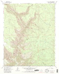 Sycamore Point 1963 topographic map thumbnail