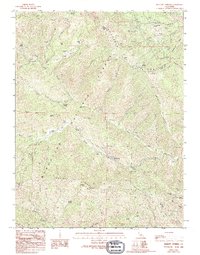 Barlett Springs topographic map thumbnail